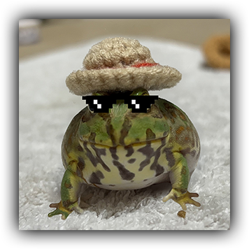 Frog 18