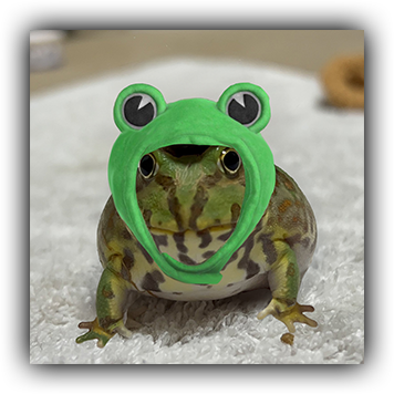 Frog 8