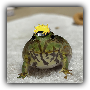 Frog 9
